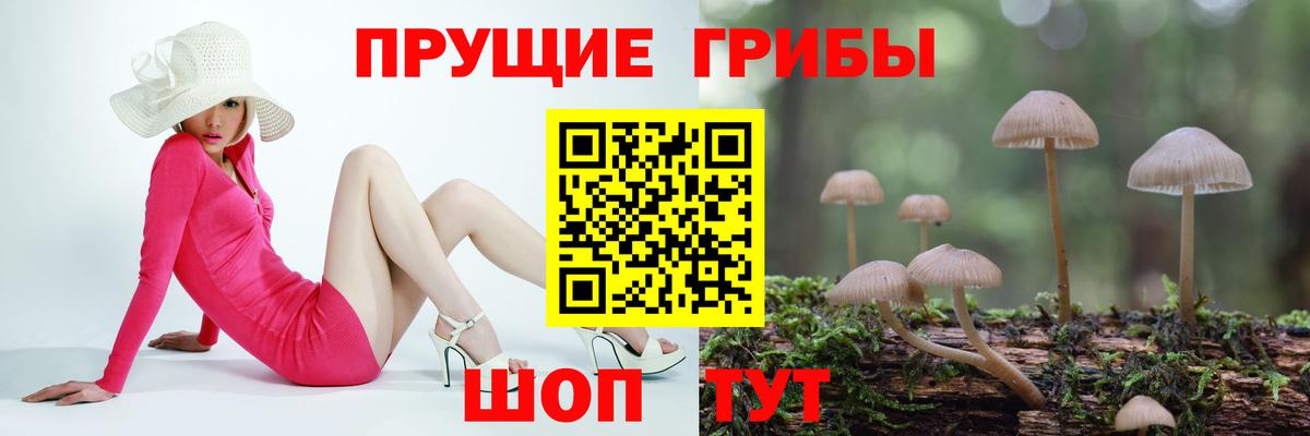 Псилоцибиновые грибы мицелий Урай